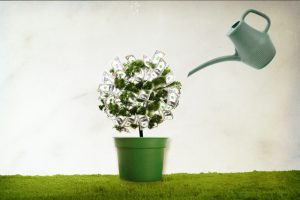 water_the_tree_where_money_grows