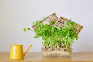 Seedlings-of-money